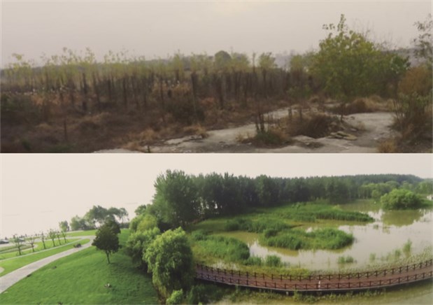 【美丽中国长江行】山体湿地展新颜 南京生态对比大变化