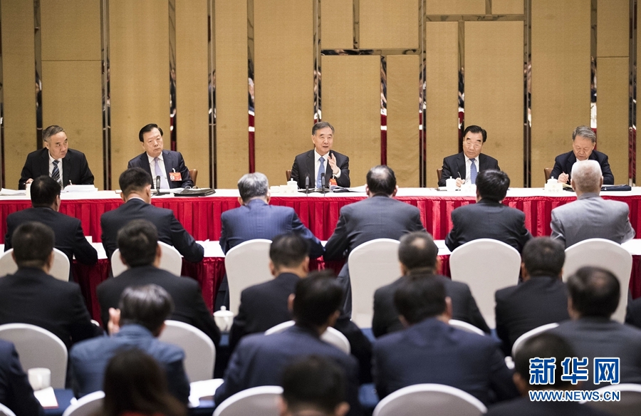 汪洋韩正分别参加全国两会一些团组讨论和审议