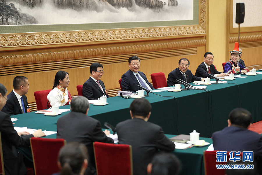 习近平李克强栗战书汪洋王沪宁赵乐际韩正分别参加全国人大会议一些代表团审议