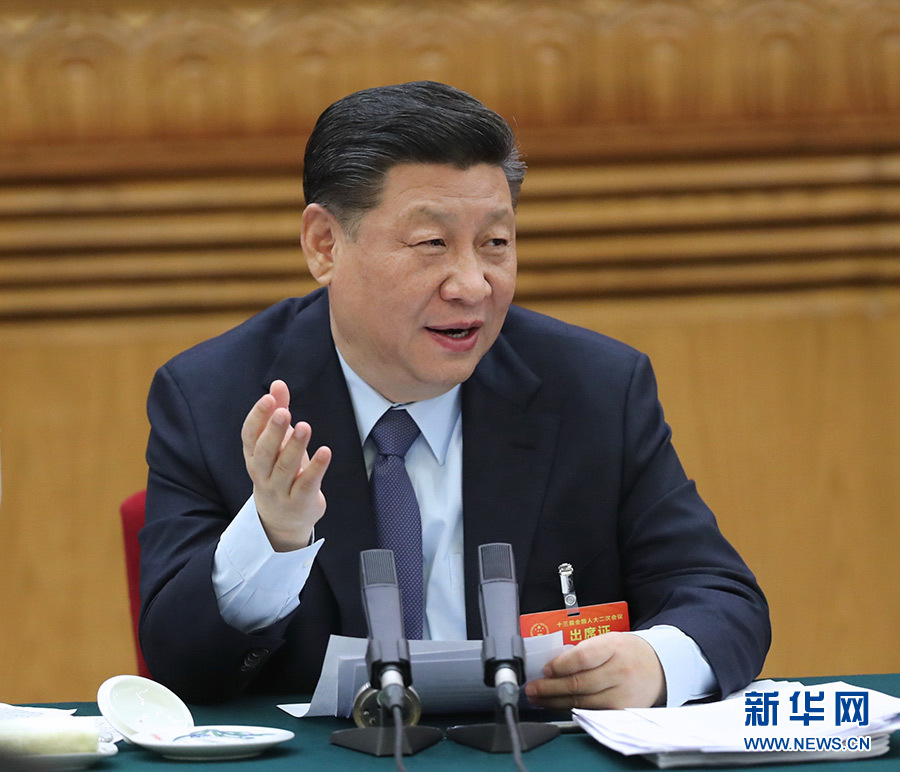 习近平李克强栗战书汪洋王沪宁赵乐际韩正分别参加全国人大会议一些代表团审议