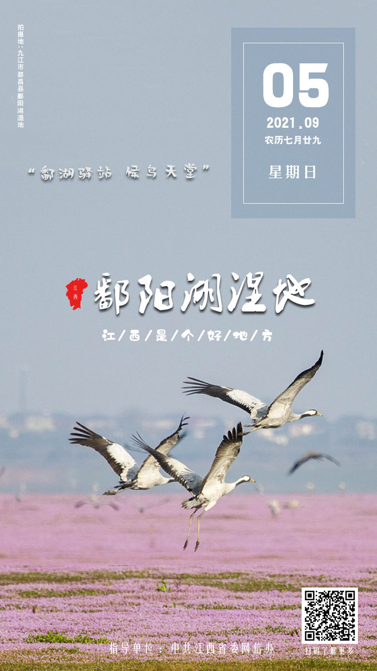鄱阳湖湿地
