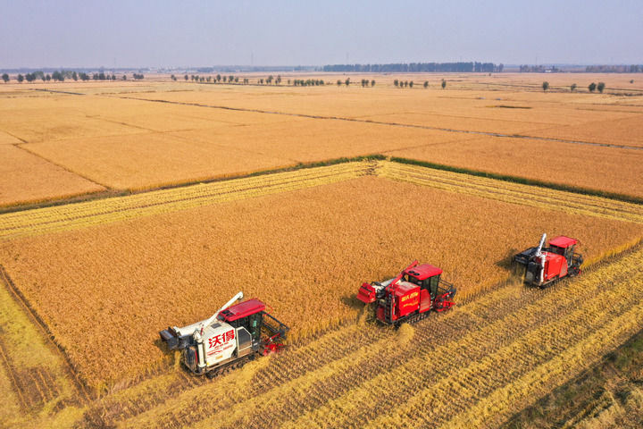 接续奋斗向未来——各地干部群众在四中全会精神指引下奋力拼搏谱新篇